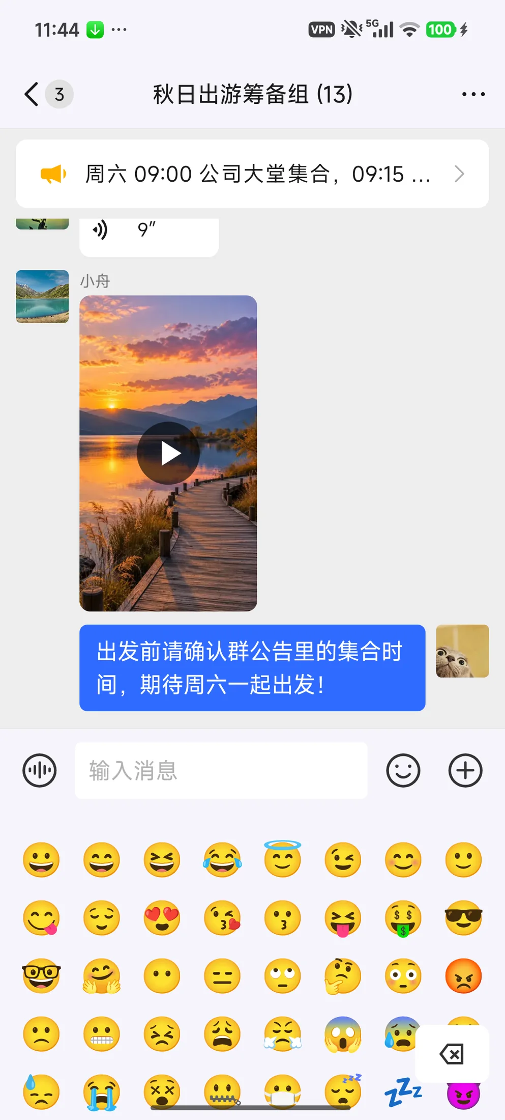 在表情面板中选择表情