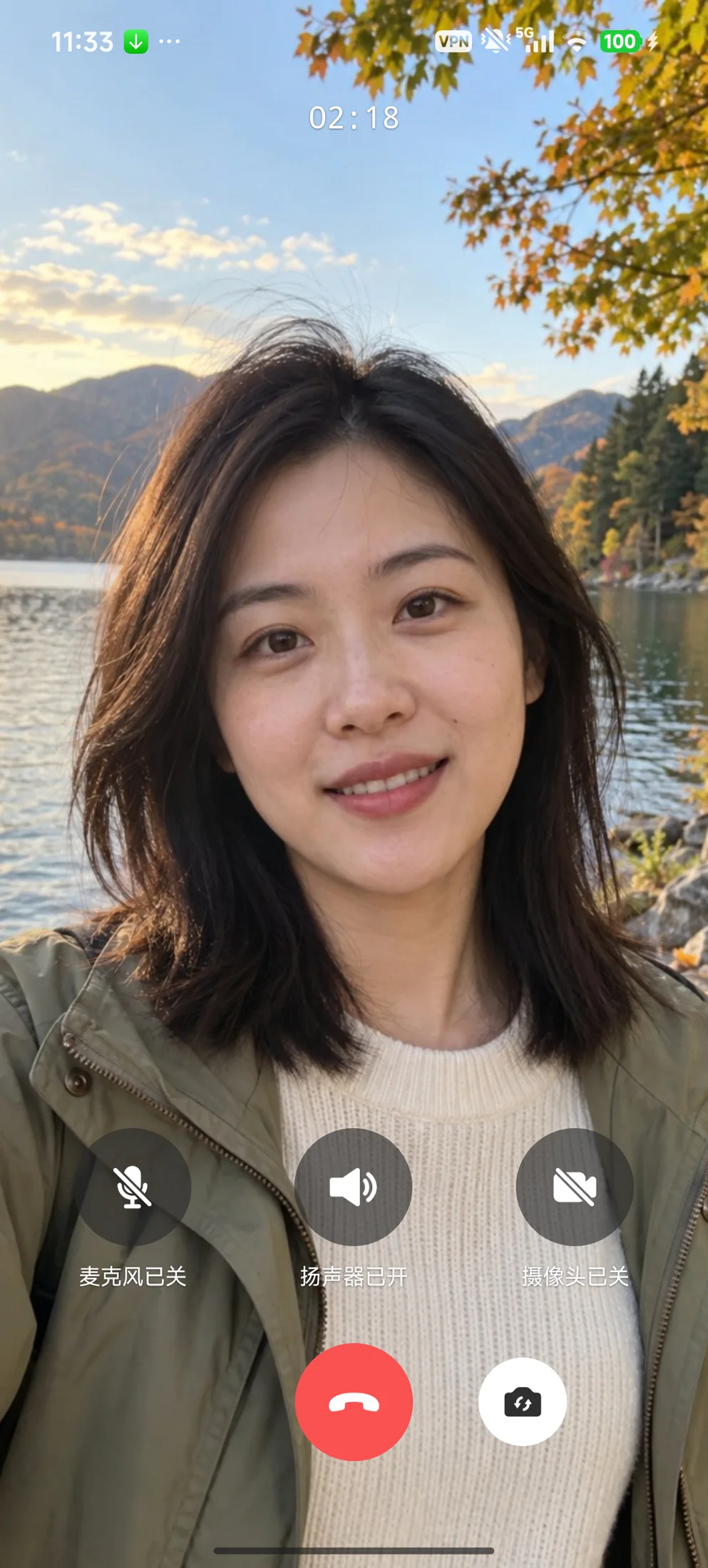 通话中关闭麦克风或摄像头