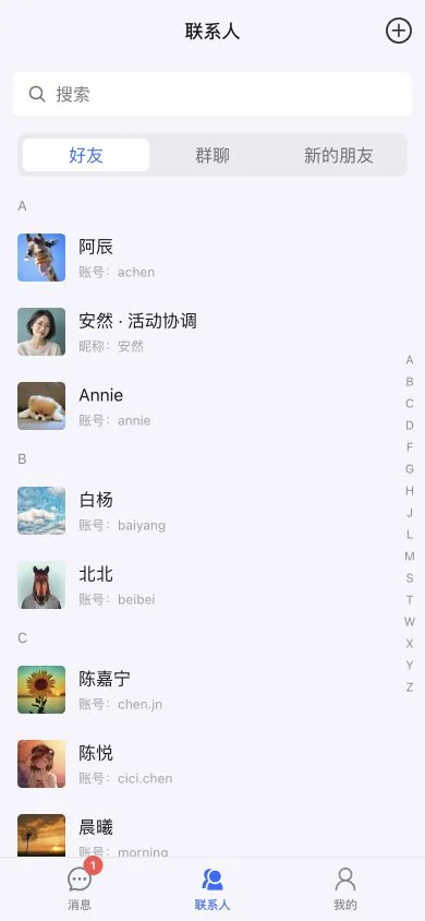 按字母排列的联系人列表