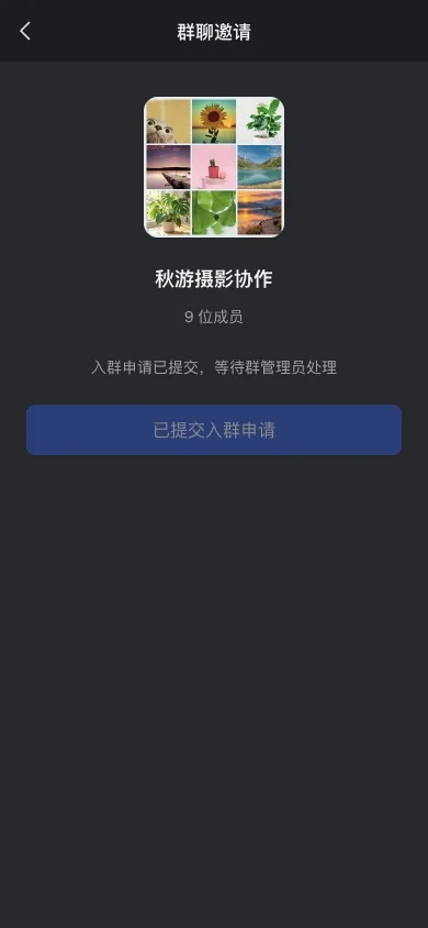 提交后等待群管理人员处理