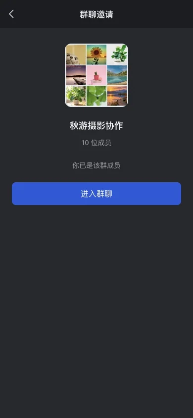 审批通过后的进入群聊入口