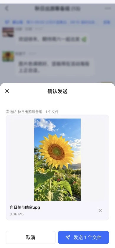 H5 图片发送前确认