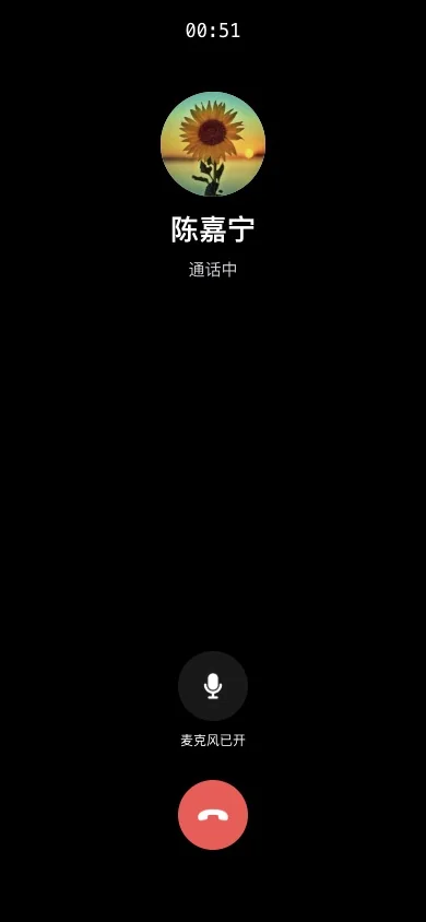 H5 语音通话已接通